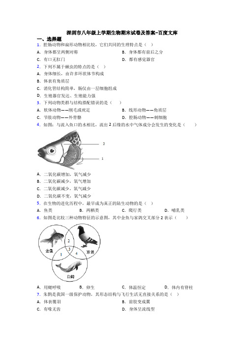 深圳市八年级上学期生物期末试卷及答案-百度文库