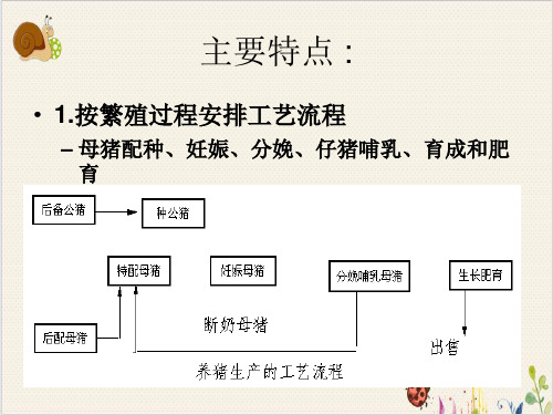 现代规模化猪场建设PPT.