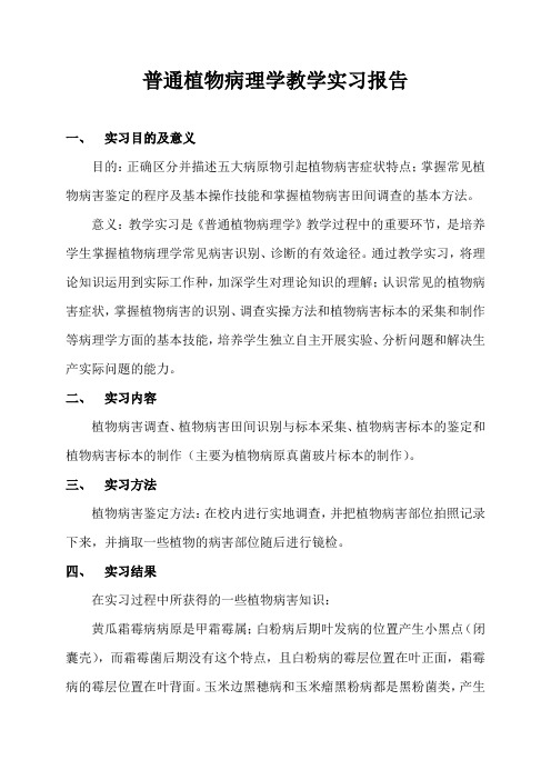 普通植物病理学教学实习报告一