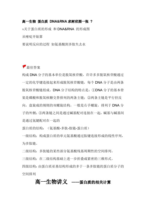 高一生物 蛋白质 DNA&RNA求树状图一张