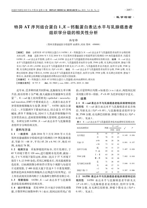 特异AT序列结合蛋白1、E-钙黏蛋白表达水平与乳腺癌患者组织学分级