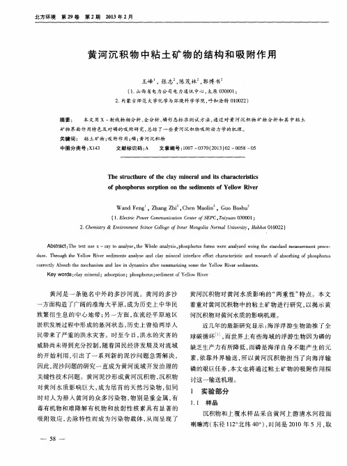 黄河沉积物中粘土矿物的结构和吸附作用