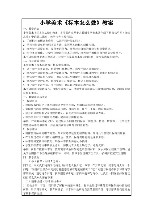 小学美术《标本怎么做》教案