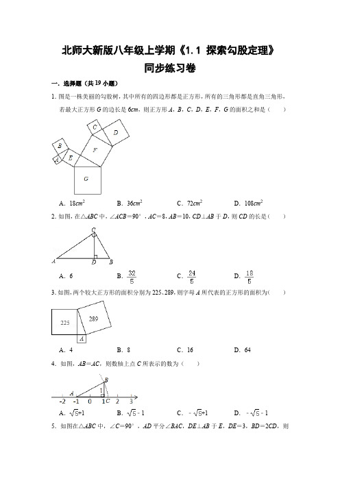 北师大新版八年级上学期《1.1 探索勾股定理》同步练习卷