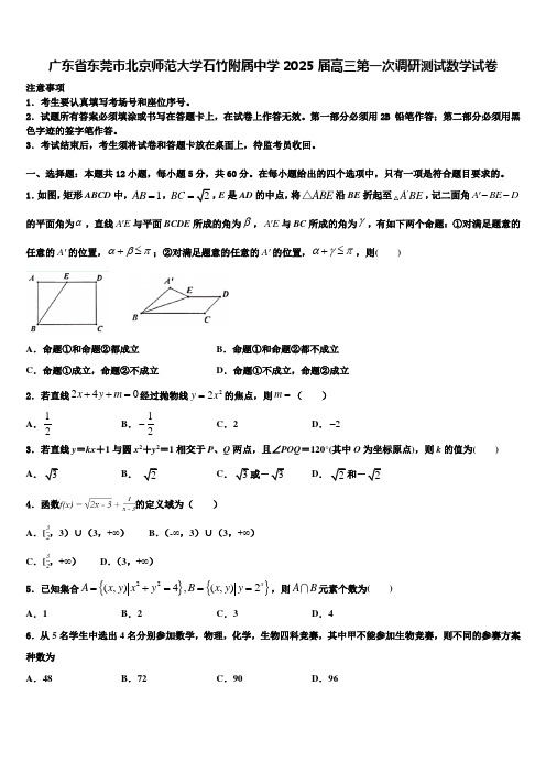 广东省东莞市北京师范大学石竹附属中学2025届高三第一次调研测试数学试卷含解析