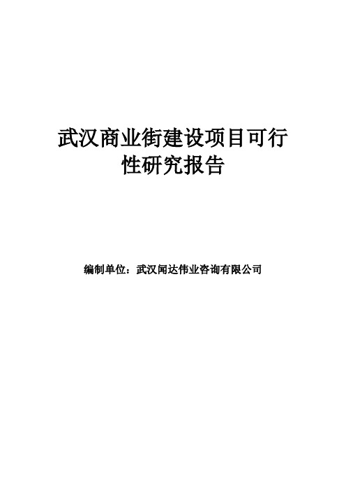 武汉商业街建设项目可行性研究报告