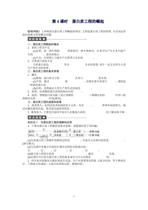 高二生物人教版选修3课时作业：1.4蛋白质工程的崛起