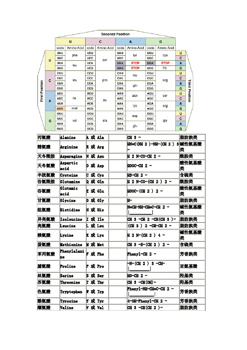 氨基酸密码子对照表