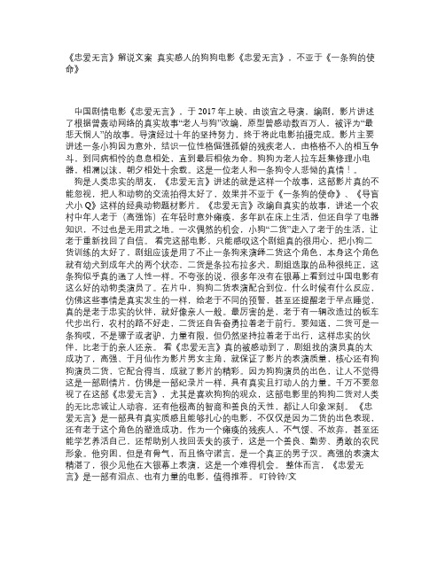 《忠爱无言》解说文案_真实感人的狗狗电影《忠爱无言》,不亚于《一条狗的使命》