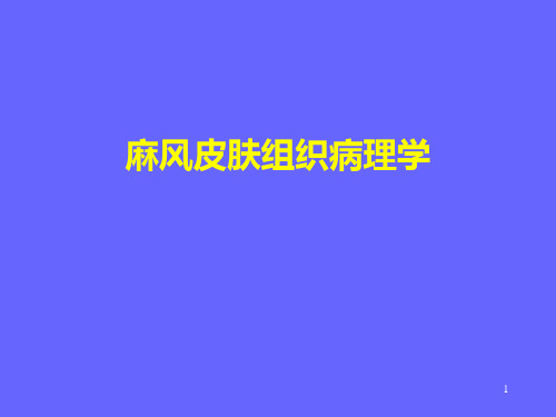 麻风病理ppt课件