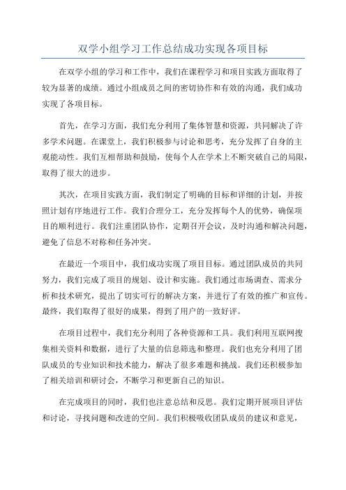 双学小组学习工作总结成功实现各项目标