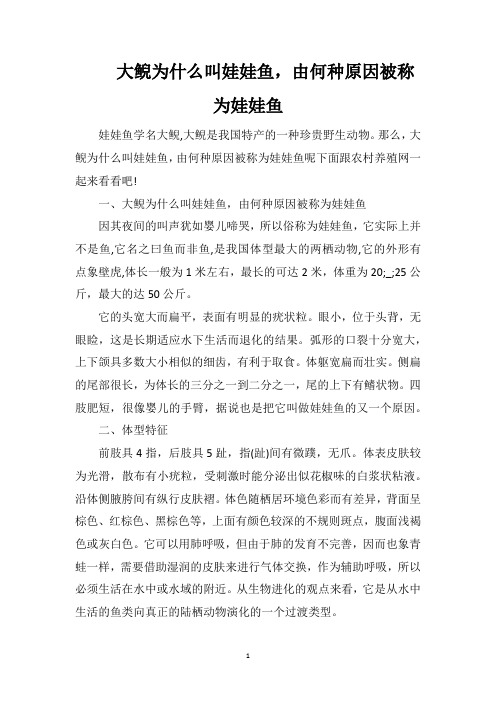 大鲵为什么叫娃娃鱼,由何种原因被称为娃娃鱼