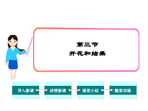 3第三节开花和结果