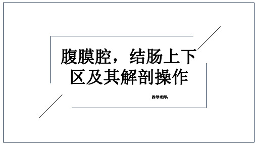 腹膜腔结肠上下区及其解剖操作