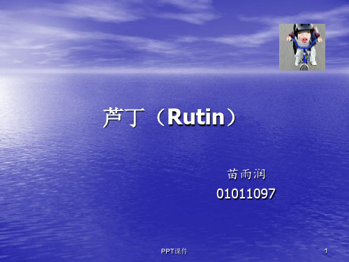 芦丁(Rutin)  ppt课件