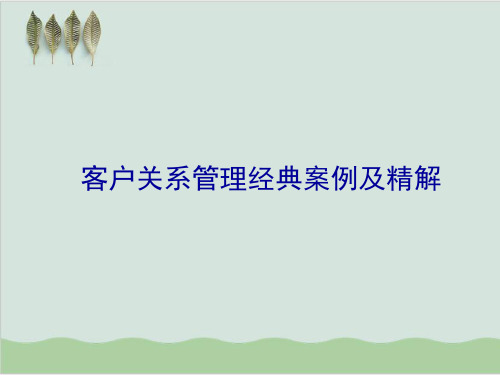 客户关系管理经典案例及精解PPT课件( 45页)