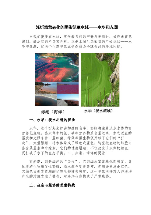 浅析富营养化的阴影笼罩水域——水华和赤潮