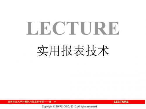 EXCEL报表,水晶报表,SQLServer2005报表制作实例-PPT精品文档