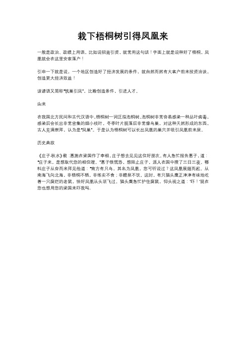 栽下梧桐树引得凤凰来