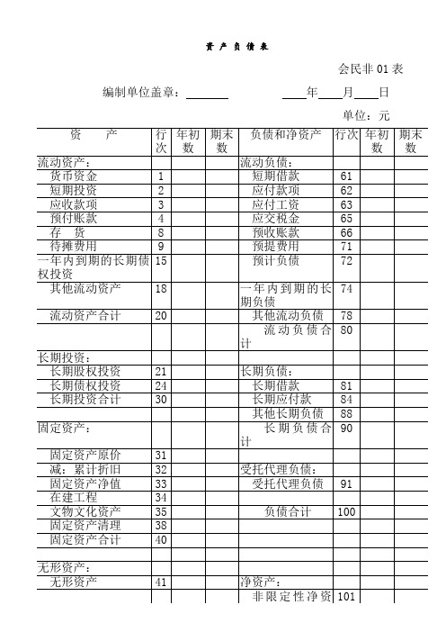 民办非企业单位会计报表