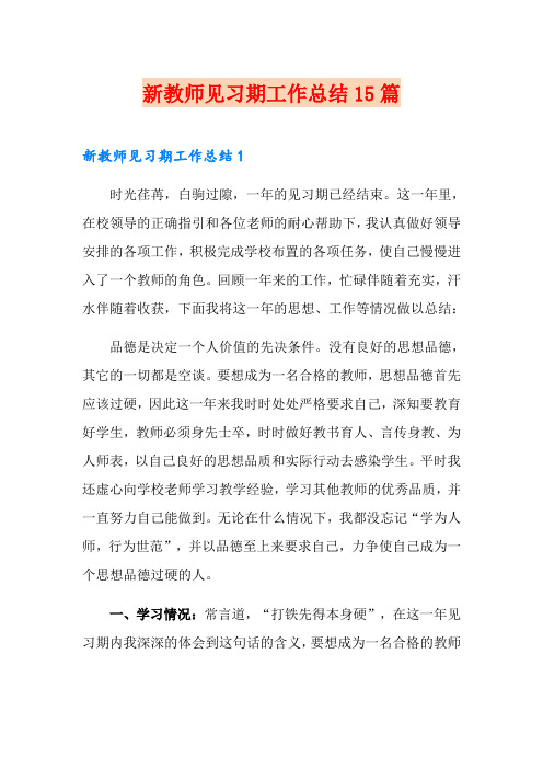 新教师见习期工作总结15篇