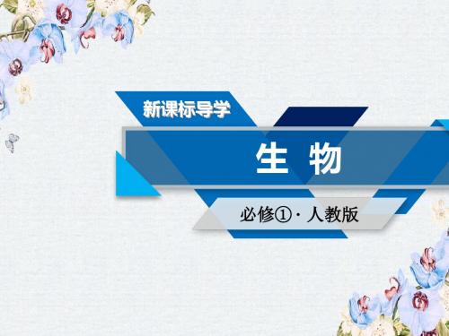 2019版人教生物必修一同步精品课件：本章整合5