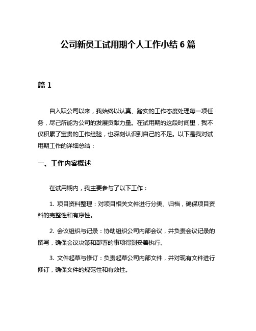 公司新员工试用期个人工作小结6篇