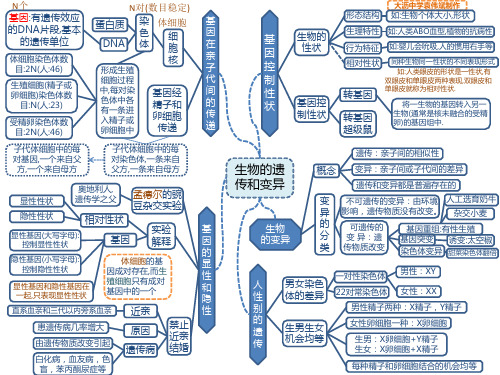 人教版初中生物八年级下册思维导图-生物的遗传和变异