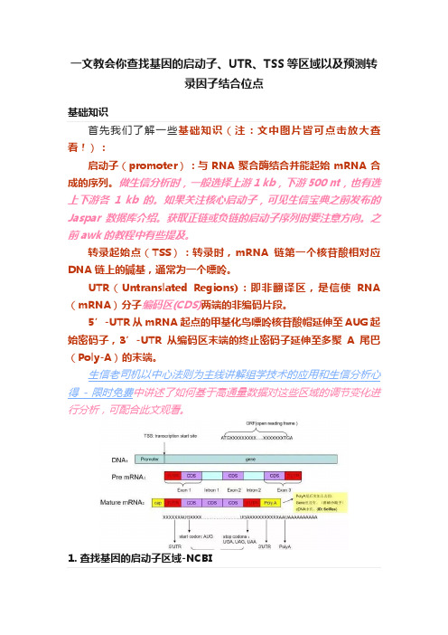 一文教会你查找基因的启动子、UTR、TSS等区域以及预测转录因子结合位点