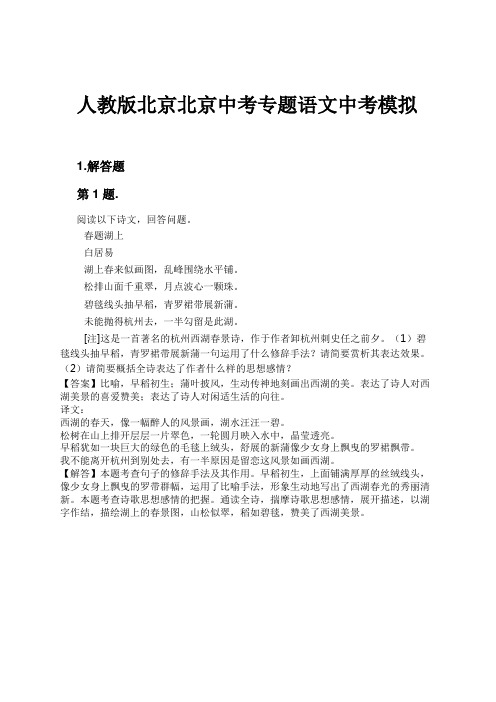 人教版北京北京中考专题语文中考模拟试卷及解析