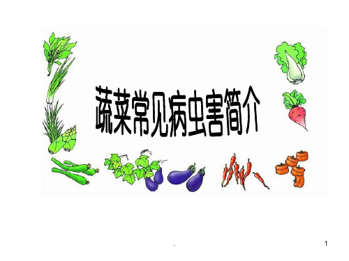 常见蔬菜病虫害介绍及防治-(精)PPT课件