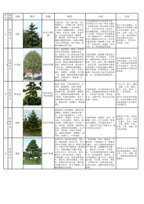 园林常用绿化植物-1乔灌