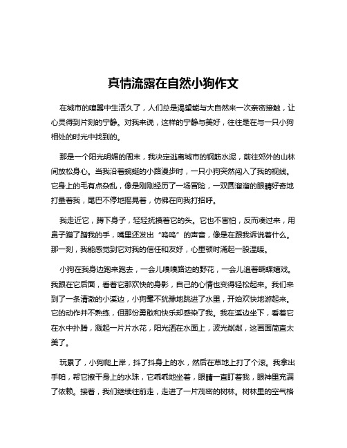 真情流露在自然小狗作文