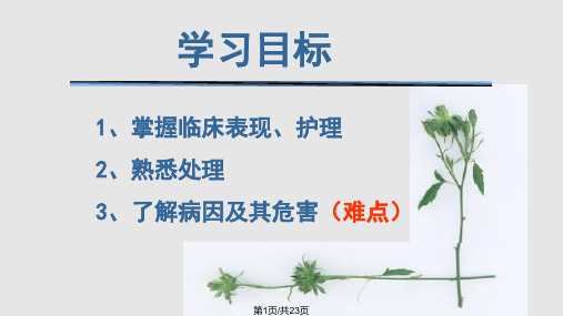 前置胎盘护理PPT课件PPT课件