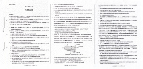 济南市2020届高三5月份二模考试生物试题含答案