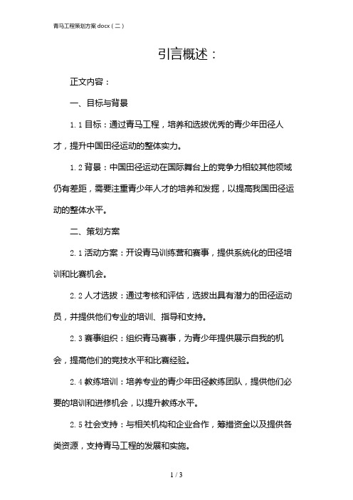 青马工程策划方案docx(二)