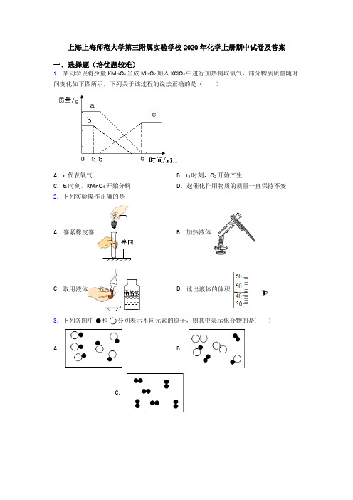 上海上海师范大学第三附属实验学校2020年初三化学上册期中试卷及答案