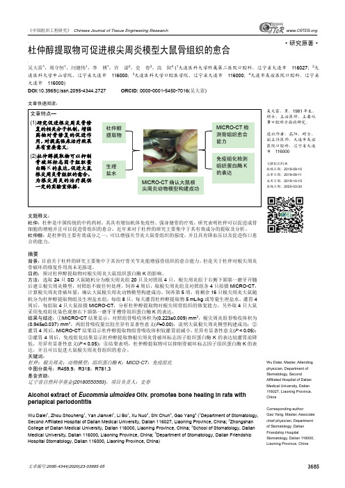 杜仲醇提取物可促进根尖周炎模型大鼠骨组织的愈合