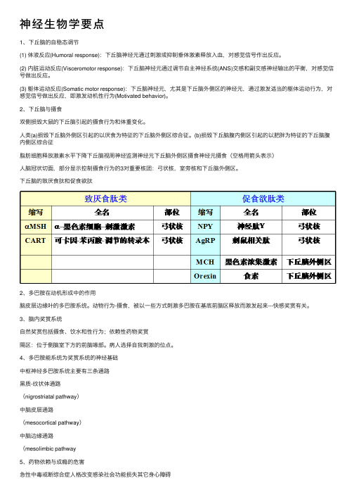 神经生物学要点