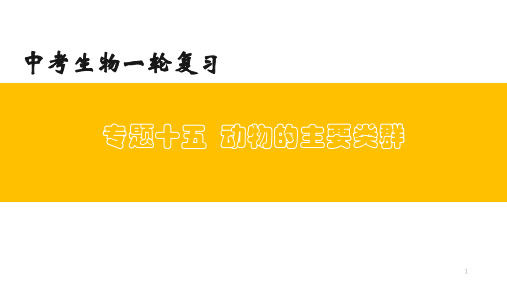 专题15 动物的主要类群(上课用课件)-【过一轮】2022年中考生物一轮复习课件精讲与习题精练