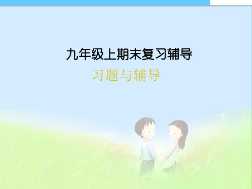 最新人教版九年级(初三)思想品德(政治)人教九年级政治复习课件