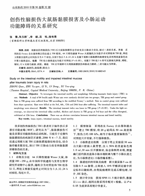 创伤性脑损伤大鼠肠黏膜损害及小肠运动功能障碍的关系研究