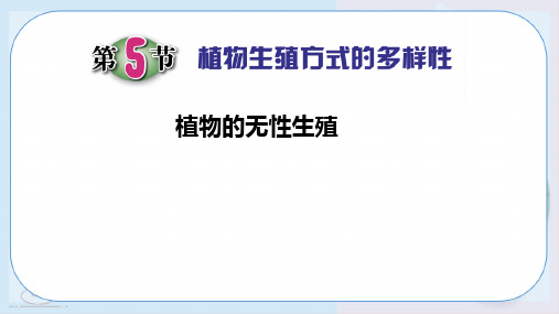 植物生殖方式的多样性——浙教版七年级下册科学
