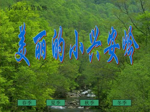 人教三上语文《美丽的小兴安岭》 课件