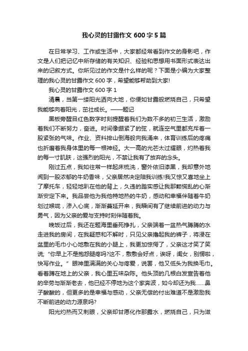 我心灵的甘露作文600字5篇