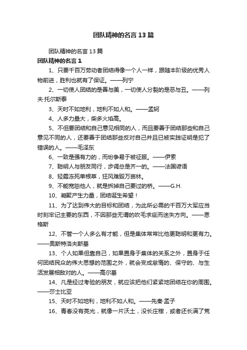 团队精神的名言13篇