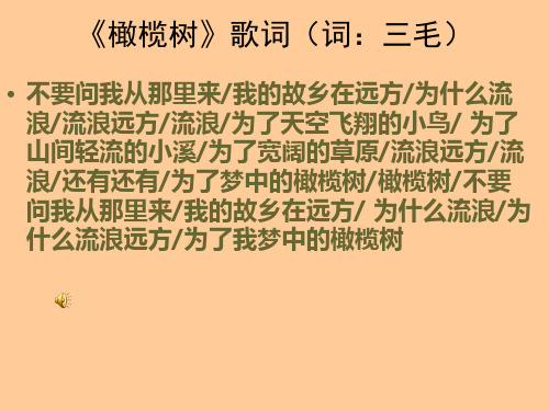 三毛介绍