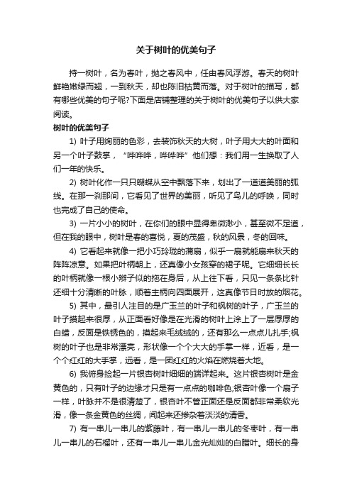 关于树叶的优美句子