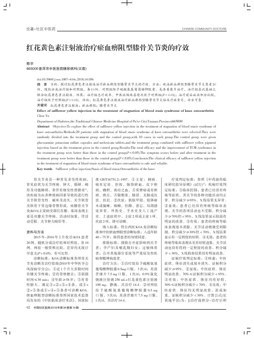 红花黄色素注射液治疗瘀血痹阻型膝骨关节炎的疗效