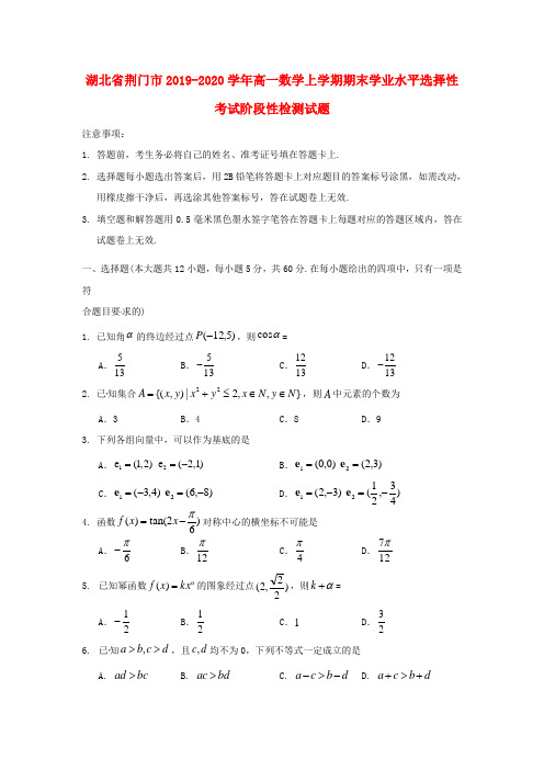 湖北省荆门市2019_2020学年高一数学上学期期末学业水平选择性考试阶段性检测试题